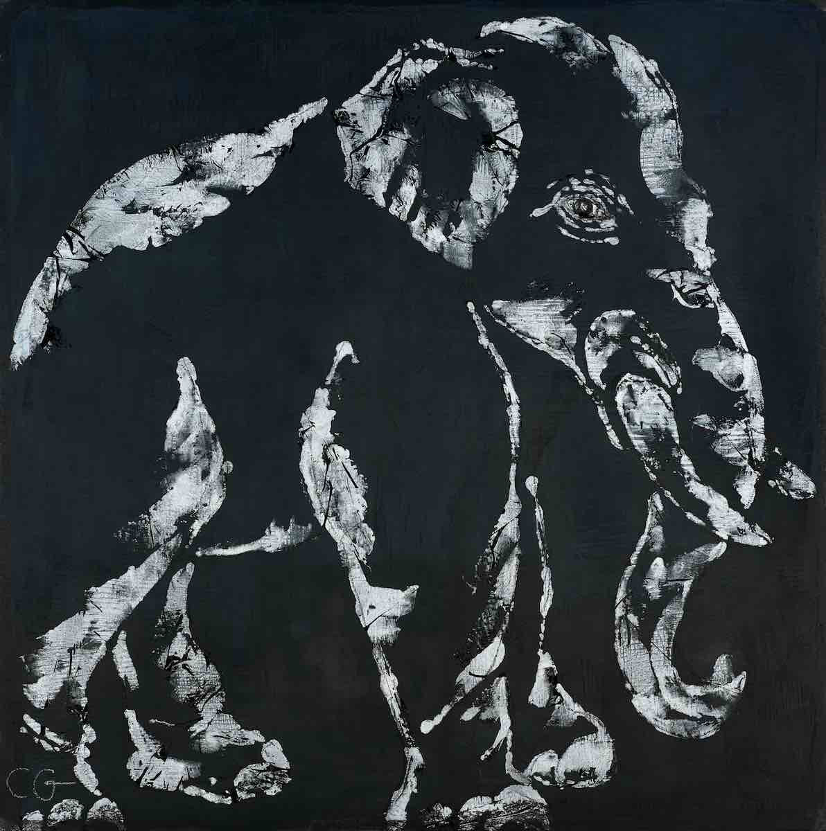 Portrait eines Elefanten von Claudia Groegler in schwarz weiß