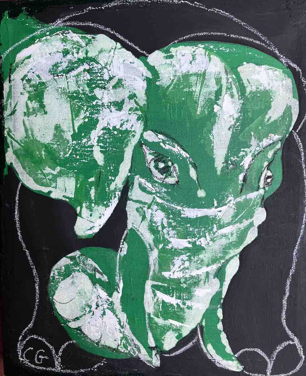 Portrait eines Elefanten Frosch Bild von Claudia Groegler